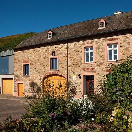 Altes Loerscher Winzerhaus Mehring  Εξωτερικό φωτογραφία