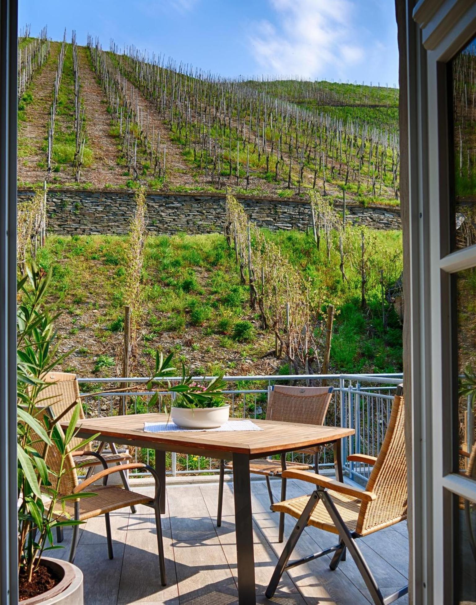 Altes Loerscher Winzerhaus Mehring  Εξωτερικό φωτογραφία